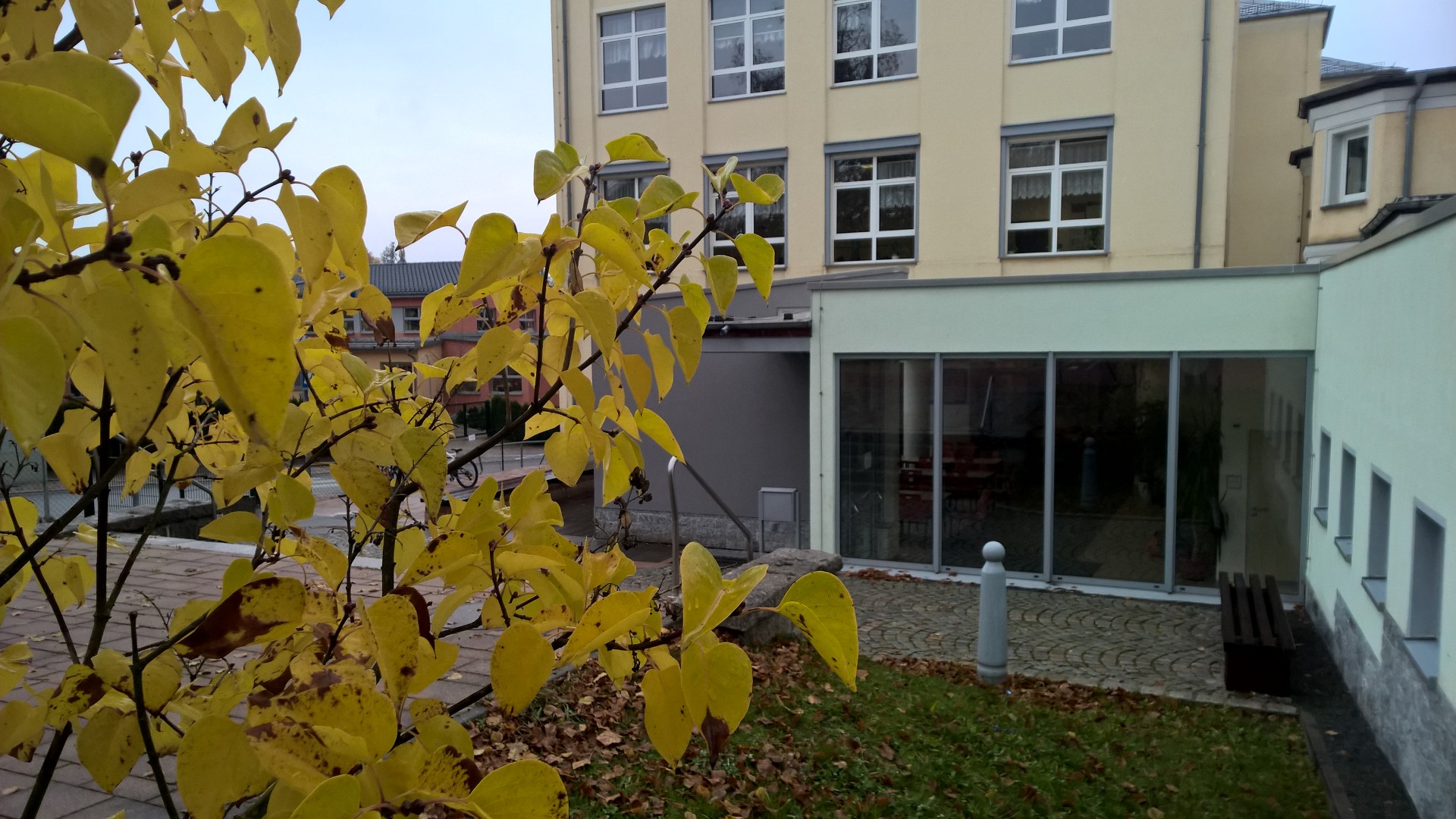 wp_20161107_10_03_57_pro